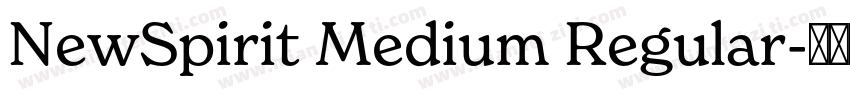 NewSpirit Medium Regular字体转换